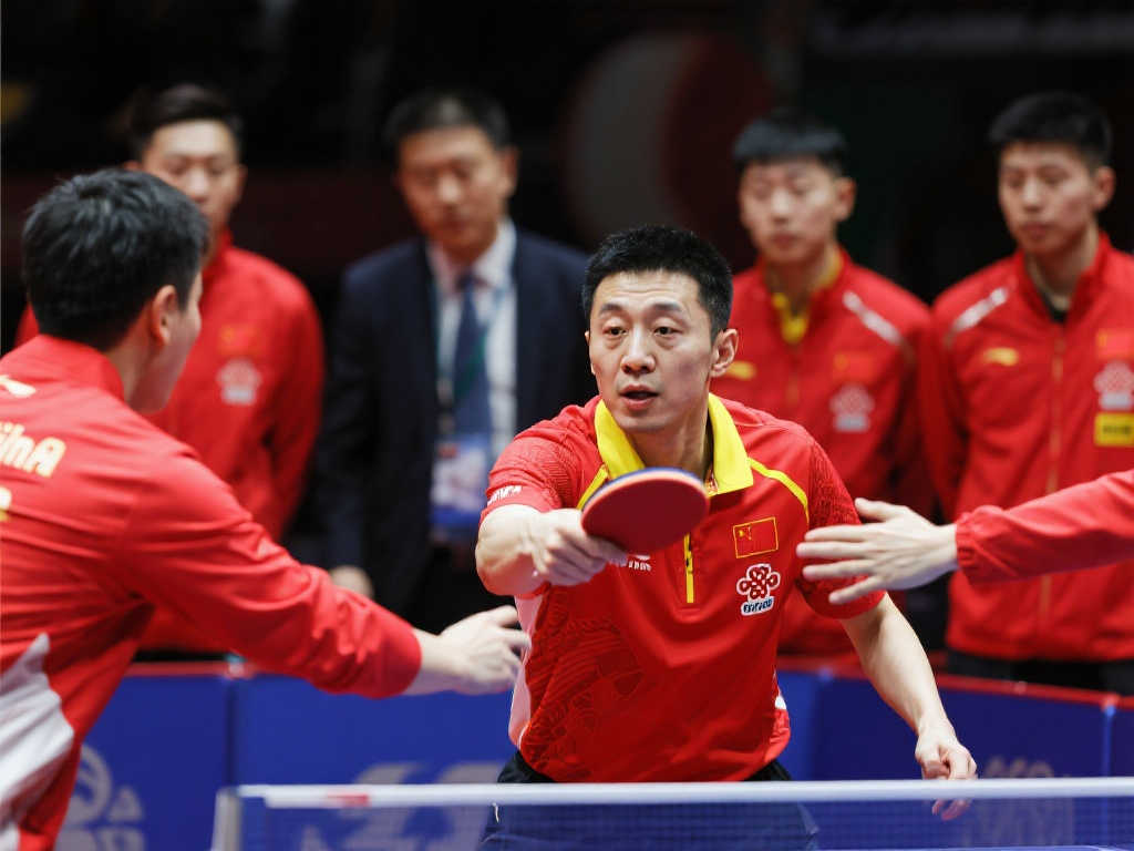 仅让他赢得 仅让他赢得