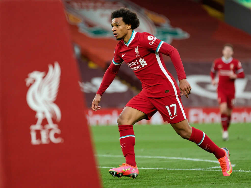 界足坛的统 界足坛的统