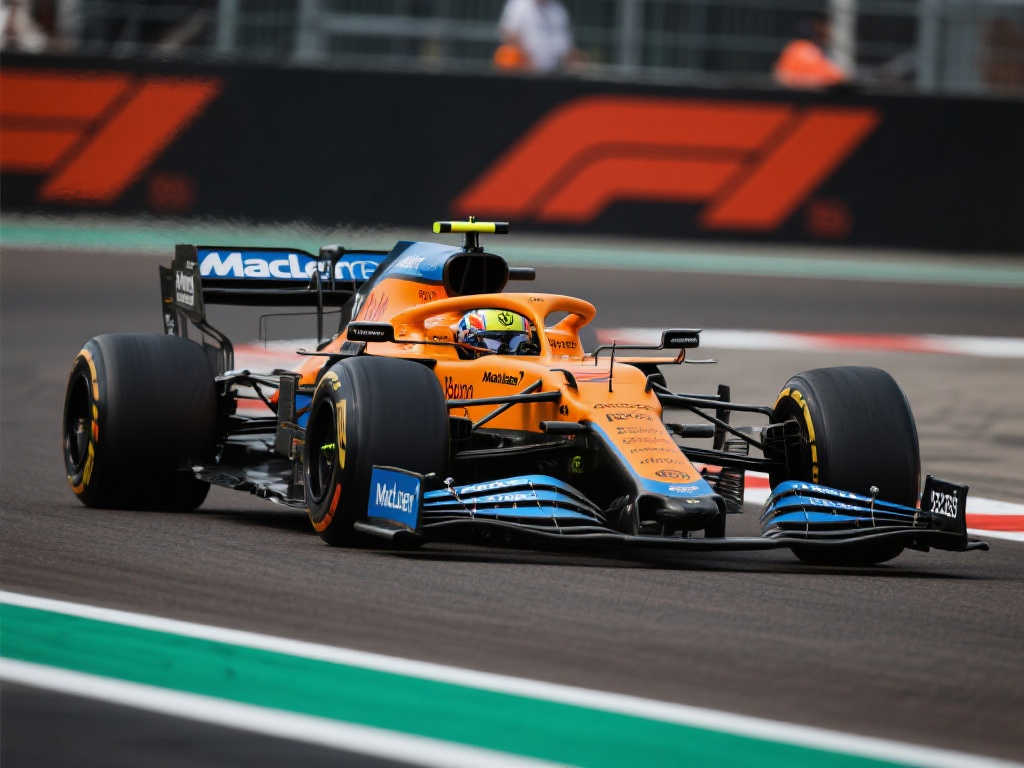 们提供了一 们提供了一